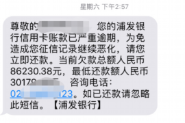 博罗如何避免债务纠纷？专业追讨公司教您应对之策